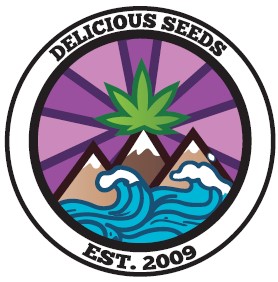 картинка Space Cookies Auto от магазина Semki