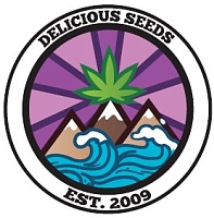 картинка Delicious Candy Auto от магазина Semki