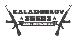 картинка Siberian Haze Auto от магазина Semki