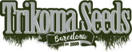 Trikoma Seeds